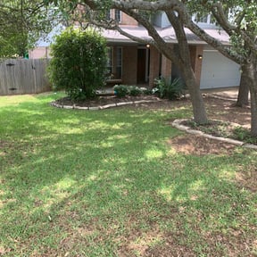 Leaf Removal by Armed and Ready Services reviewed on September 13, 2025