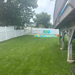 yard service by Bearded landscaping reviewed on November 21, 2025