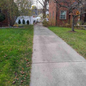 Leaf Removal by Mauler Mowing LLC reviewed on October 2, 2025