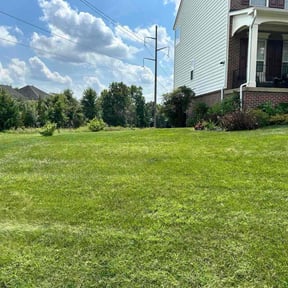 lawn care services by GC Lawn Care & Landscaping Services reviewed on August 20, 2025