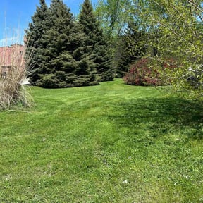 landscaping services by Scott's Landscape and pool service reviewed on August 15, 2025