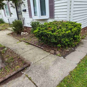 Bush Trimming by Cuttas Landscaping & Lawn Services reviewed on August 18, 2025