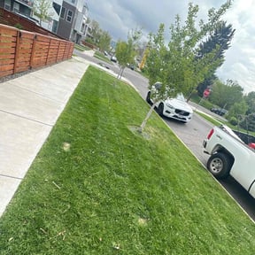 yard maintenance by Mr Lawn Service reviewed on December 12, 2025