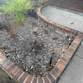 Flower Bed Weeding by All Around Clean Up reviewed on August 20, 2025