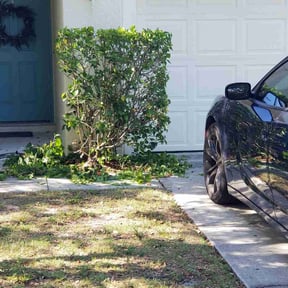 Bush Trimming by Enrique's Outdoor Maintenance reviewed on August 19, 2025