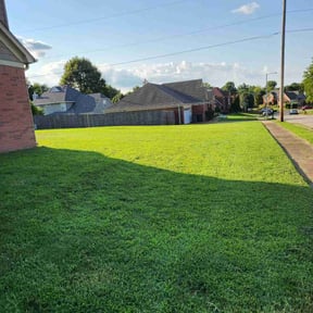 grass maintenance by Beyond Clean reviewed on May 2, 2024