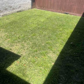 Bush Trimming by Multi Purpose reviewed on April 4, 2026