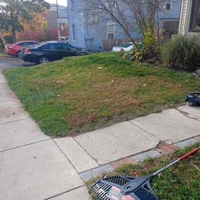 Leaf Removal by Y.M.S. Yard and Home Maintenance Services reviewed on October 2, 2025