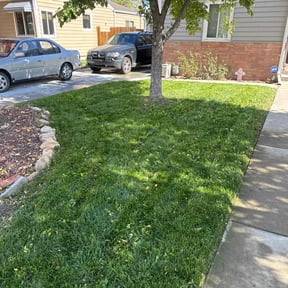 lawn maintenance by Milteemowing lawncare reviewed on May 15, 2024