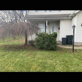 Bush Trimming by C L O V E R , lawn care. reviewed on November 26, 2025