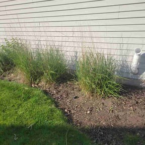 Flower Bed Weeding by Epic Lawn Care reviewed on May 24, 2026