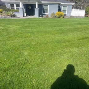 residential landscaping by Sunnyside Lawn care reviewed on April 17, 2024