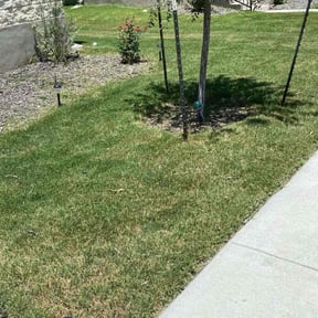 gardening service by Wildflower Lawn Care Company reviewed on November 26, 2025