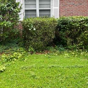 Bush Trimming by A. E. Cross Lawn Care reviewed on August 16, 2025