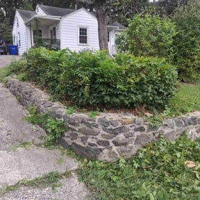 Bush Trimming by Green Core Management LLC reviewed on October 18, 2025