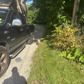 Bush Trimming by D &amp; A services reviewed on November 9, 2021