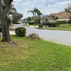 Leaf Removal by Everything and More Thrift LLC reviewed on August 18, 2025