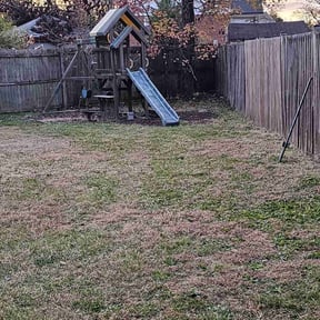 Leaf Removal by Brown's grounds reviewed on September 9, 2025