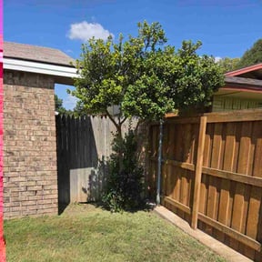 turf care by Keepin’ It Green reviewed on August 5, 2025