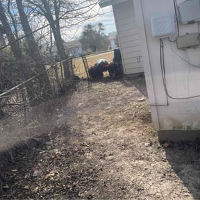 Leaf Removal by Brothers Landscaping and Construction reviewed on September 10, 2025