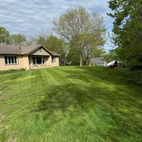 Weeding by LawnGoals reviewed on July 9, 2020