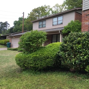 Bush Trimming by JR Landscaping Company reviewed on August 14, 2025