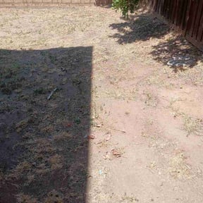 Leaf Removal by Nova lawn care reviewed on June 6, 2026