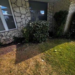 Bush Trimming by All-Out Lawn and Landscape reviewed on November 10, 2025