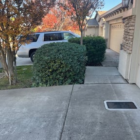 Bush Trimming by Big Dawg of Atlanta Property Solutions reviewed on August 18, 2025