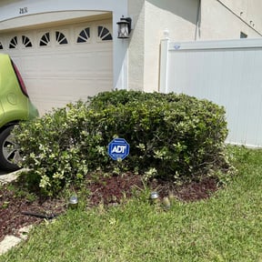Bush Trimming by Greg's gardens reviewed on August 20, 2025