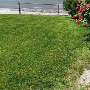 lawn maintenance by Kuiper Lawn and Natural Landscapes reviewed on December 14, 2023