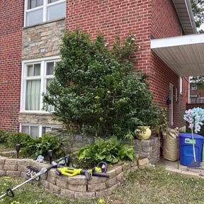 Bush Trimming by Sonia's Lawncare reviewed on August 16, 2025