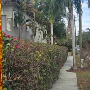 Bush Trimming by ATZLAN OPERATIONS LLC reviewed on March 23, 2026