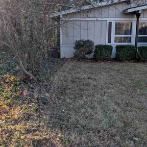 Bush Trimming by All Electric Landscaping reviewed on January 6, 2026