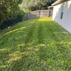lawn care by Choice Specialties LLC reviewed on January 8, 2024