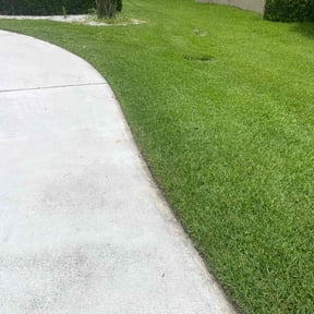 lawn maintenance by Diego Mojica Lawn Care reviewed on March 26, 2024