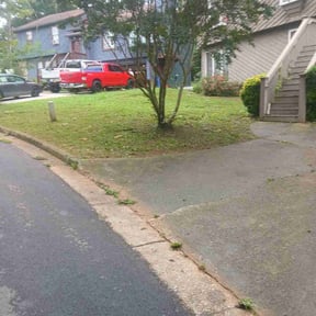 Bush Trimming by Randy&#039;s lawncare reviewed on August 7, 2023