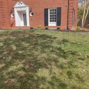 Cleanups by D&amp;D Reliable Services LLC reviewed on November 29, 2024