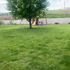 yard care by Great cuts reviewed on August 17, 2025