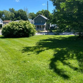 landscape maintenance by Paul lawn care reviewed on November 26, 2025