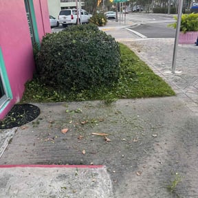 Bush Trimming by Planet Green reviewed on August 20, 2025