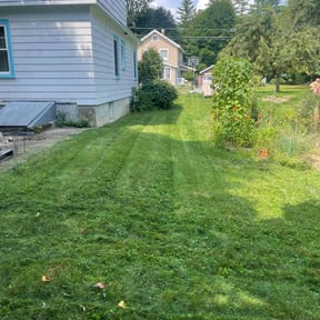 lawn service by Demiteria Casey Mattox reviewed on September 21, 2023