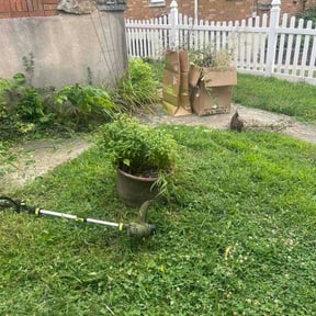 Flower Bed Weeding by GREAT LAWN SERVICE LLC reviewed on July 26, 2026