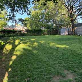 landscaping services by Major Services reviewed on August 16, 2025