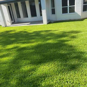 residential landscaping by Mena Norato Landscaping Service reviewed on August 20, 2025