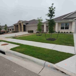 yard service by Emerald Green Lawn Service reviewed on December 2, 2025