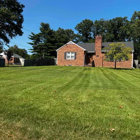 yard service by Perspective Solutions LLC reviewed on August 16, 2025