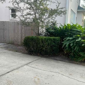 Bush Trimming by Cobbs Construction, LLC reviewed on August 21, 2025