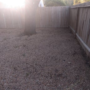 Leaf Removal by Boynton Landscaping reviewed on September 25, 2025