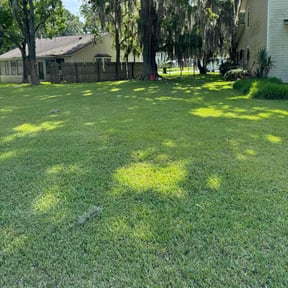 grass maintenance by LLC reviewed on August 22, 2024